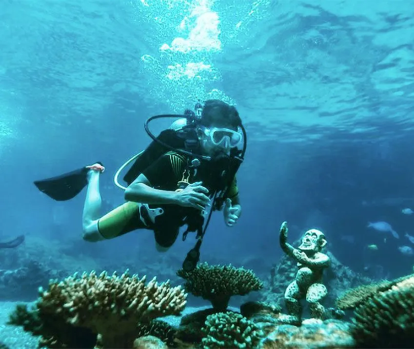 Rainbow Reef Snorkeling