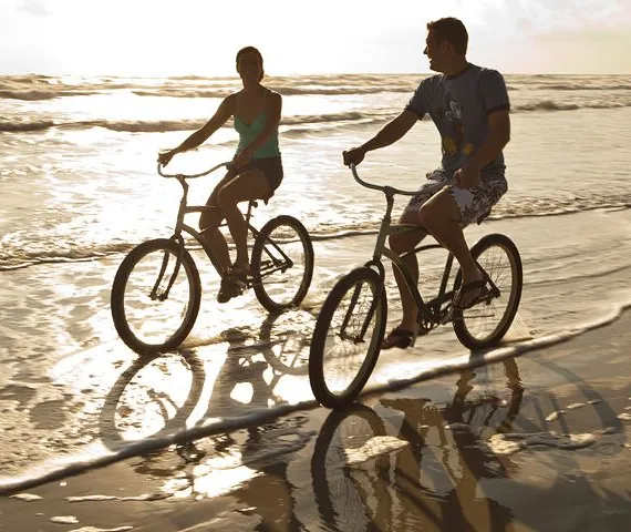 Bicycle Rental